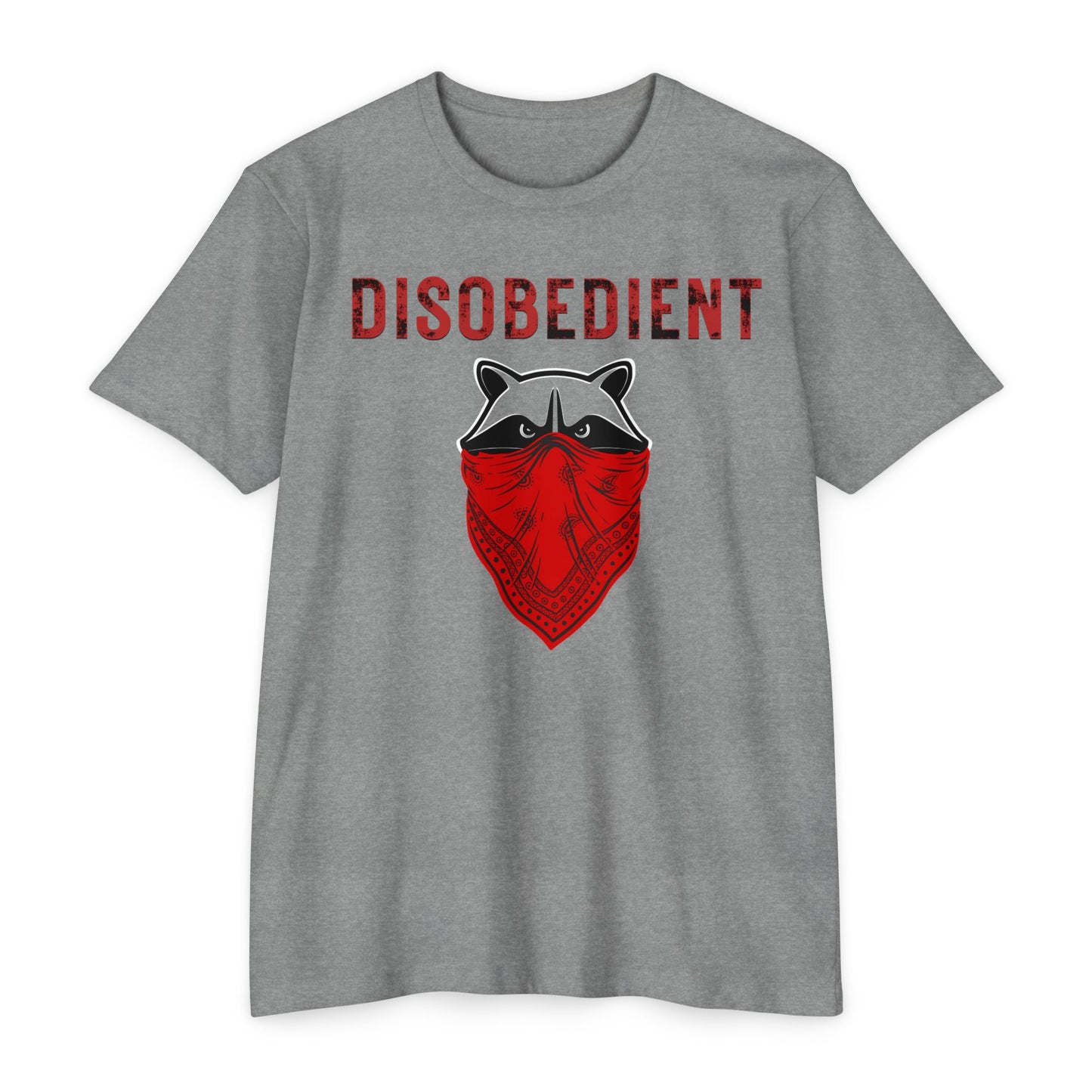 Disobedient Racoon
