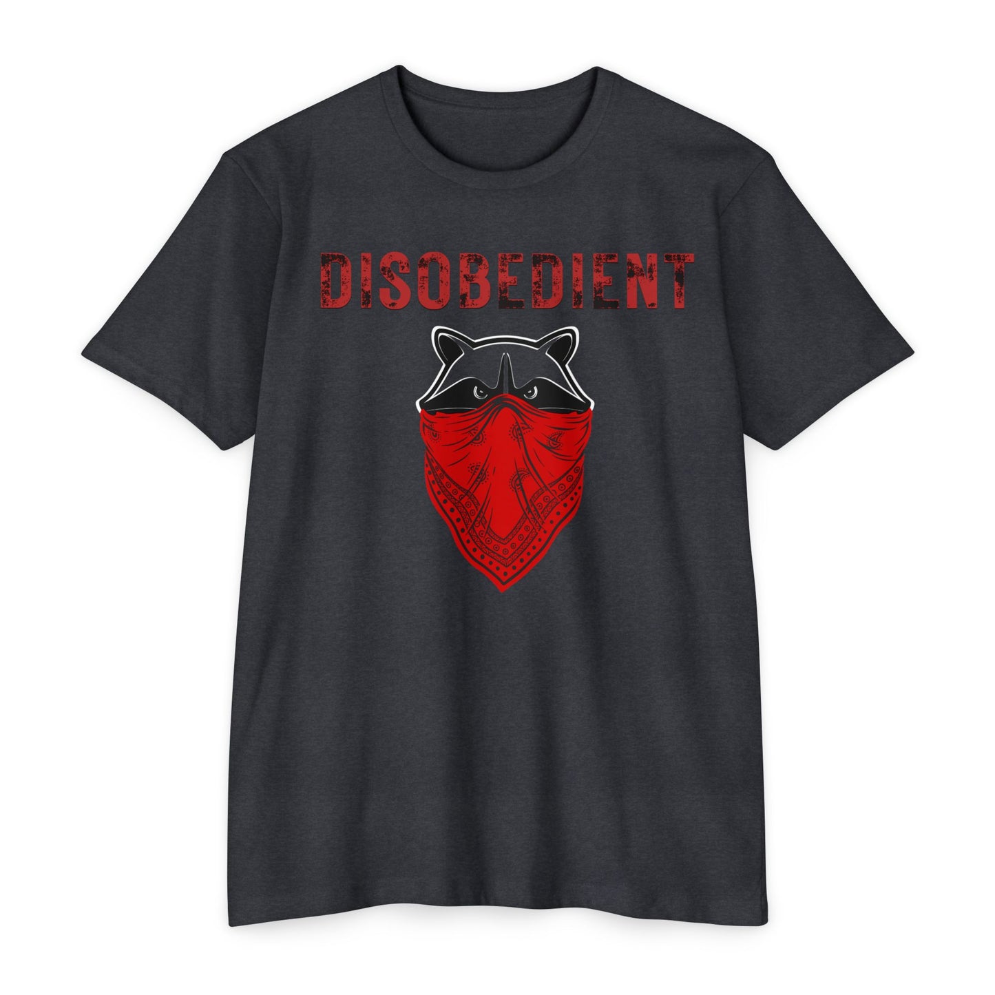 Disobedient Racoon