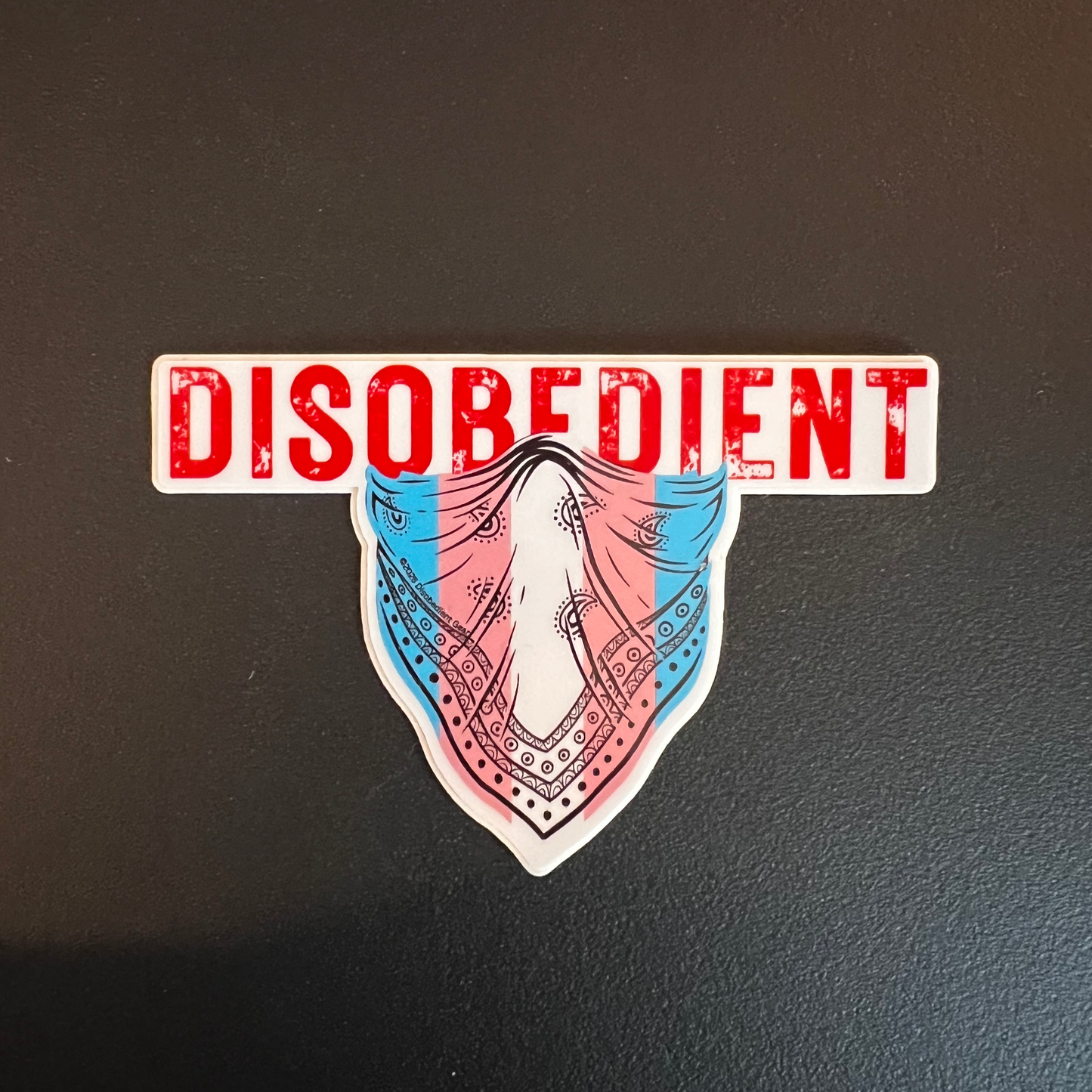 Trans Pride Disobedient Sticker