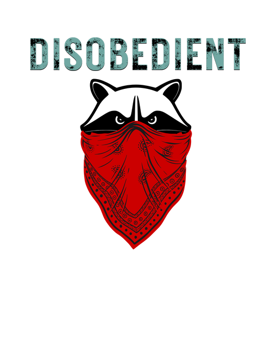 Why did we start Disobedient Gear?