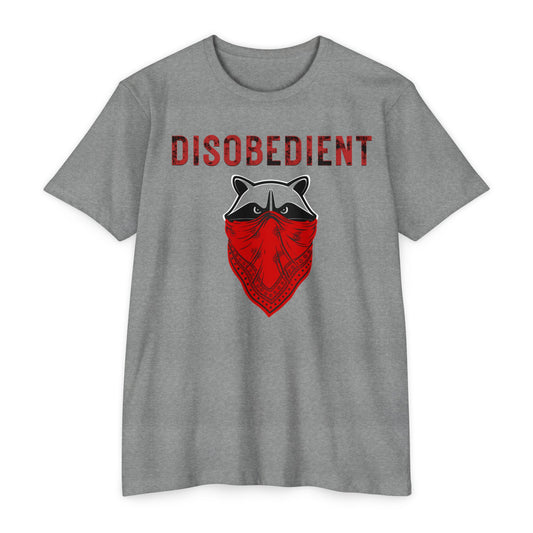 Disobedient Racoon